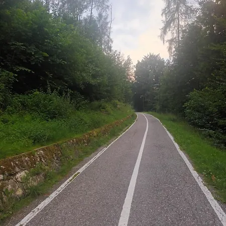 Ciasa De Le Nene - Dolomiti *